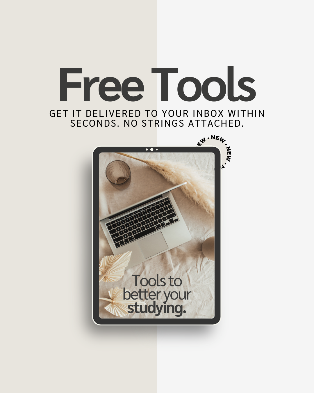 Freebies (Just for you;)